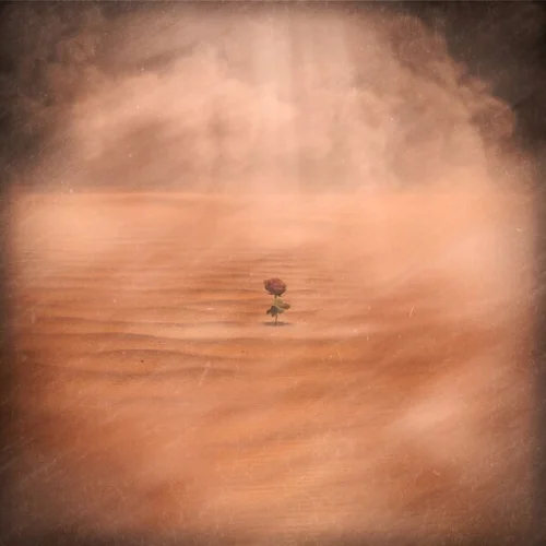 Joy - A Flower in The Sandstorm (2022)