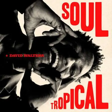 David Walters - Soul Tropical (2023)