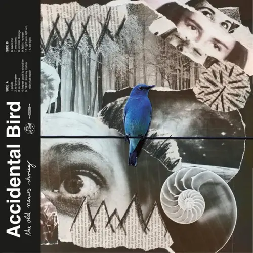 Accidental Bird - the old news shrug (2023)