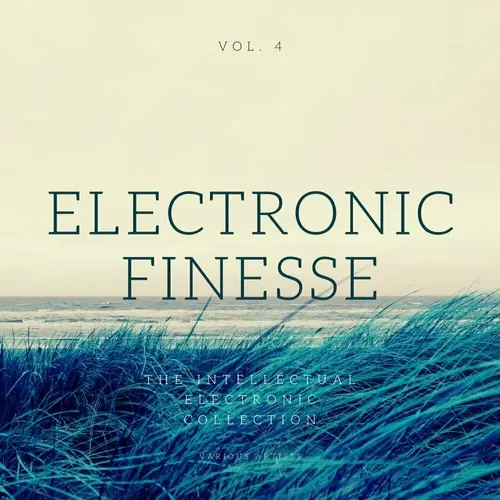 Electronic Finesse (The Intellectual Electronic Collection), Vol. 4 (2023)