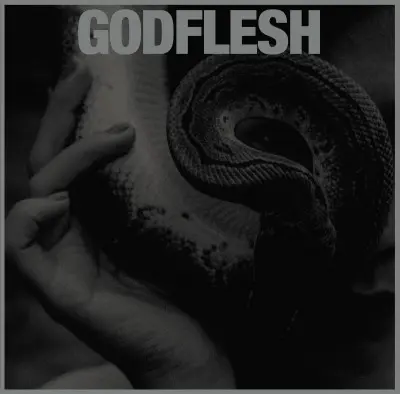 Godflesh - Purge (2023)