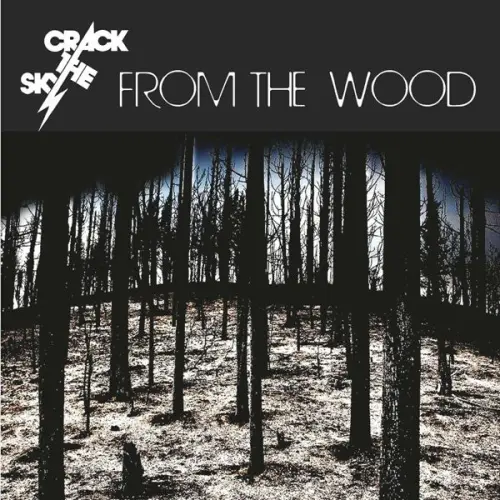 Crack The Sky - From the Wood (2023)