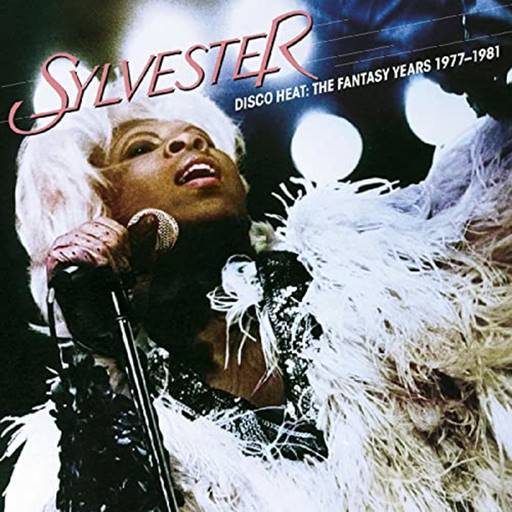 Sylvester - Disco Heat: The Fantasy Years 1977-1981 [Compilations] (2023) FLAC