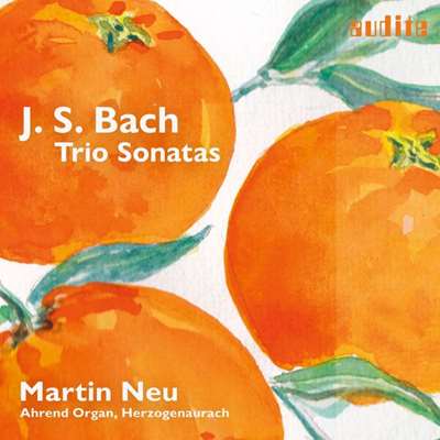 Martin Neu - Johann Sebastian Bach: Triosonaten Für Orgel, Bwv 525-530 [24-bit Hi-Res] (2024) FLAC