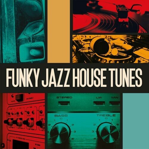 VA - Funky Jazz House Tunes (2024) FLAC