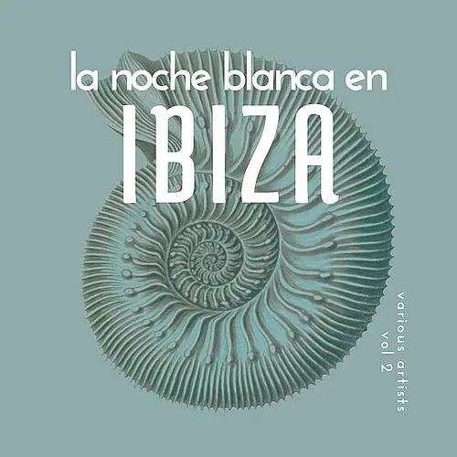 VA - La Noche Blanca En Ibiza [Vol.2] (2025) FLAC