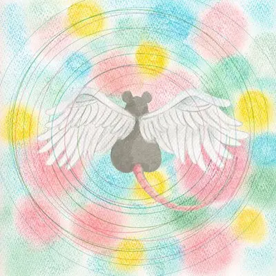 Mei Semones - Animaru [24-bit Hi-Res] (2025) FLAC